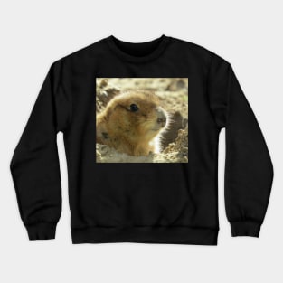 Prairie Dog Crewneck Sweatshirt